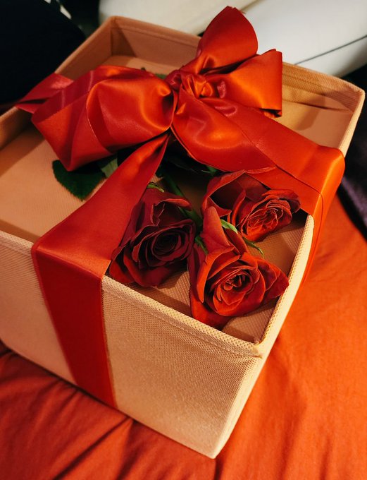 The service I've received here from the slaves truly puts the majority of you to shame. Meals, champagne