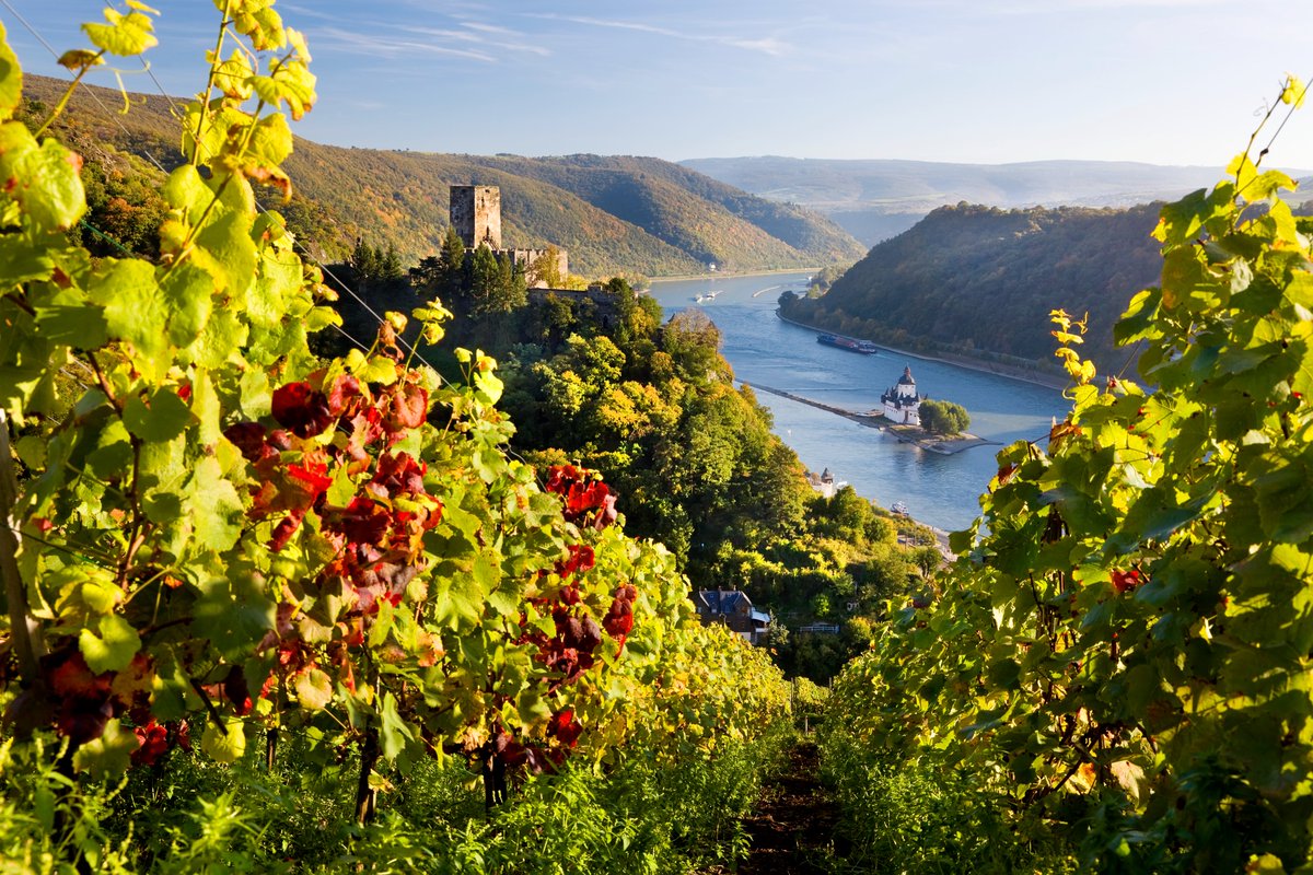 Explore your ancestral homeland on one of our 2023 genealogy-themed European river cruises. One of our professional genealogists will accompany you and help you learn more about your family history while exploring the Rhine or Danube. progenealogists.com/european-river…