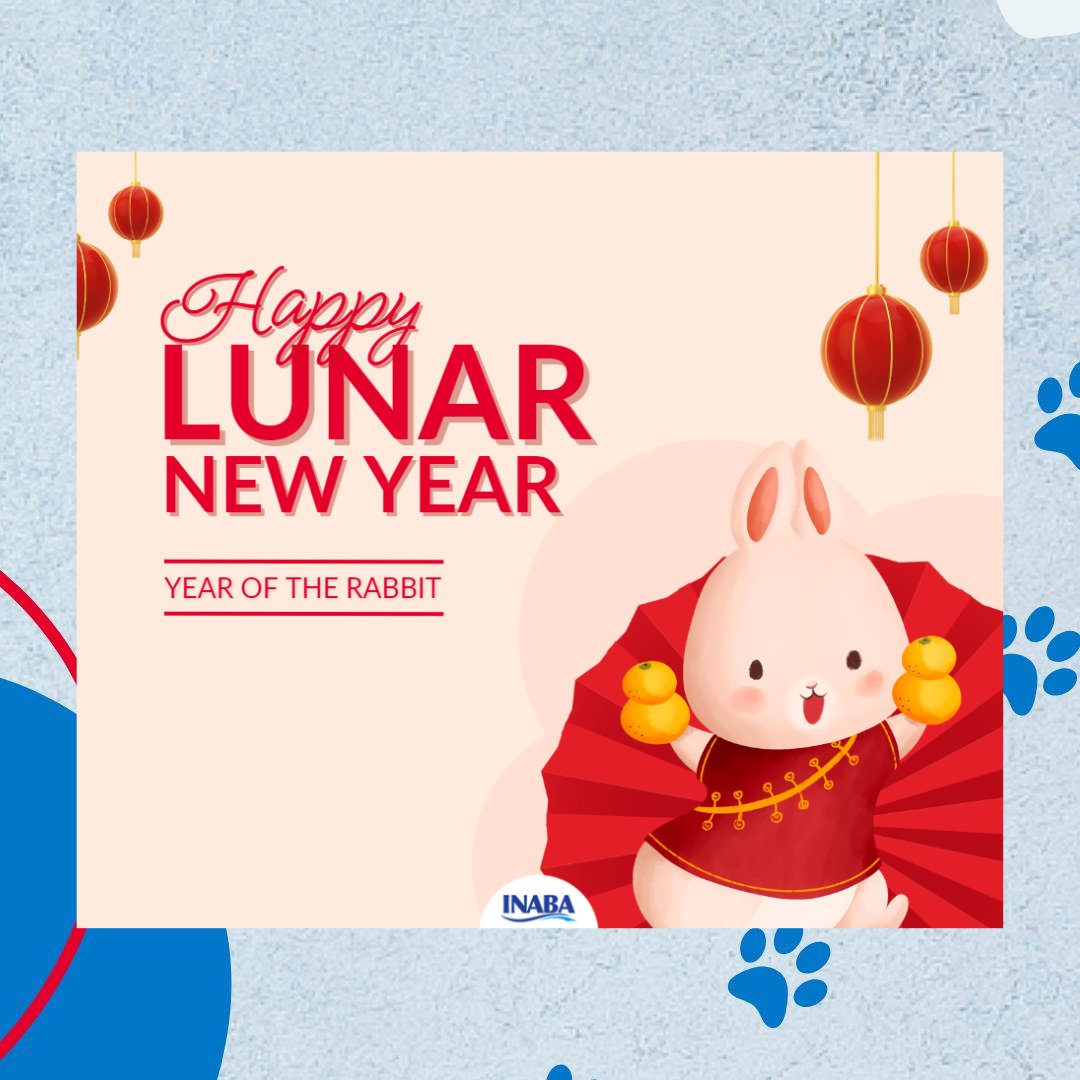 Wishing you a prosperous Lunar New Year 💙💙💙 #yearoftherabbit #lunarnewyear #yearofhope #churulover #treatsplease