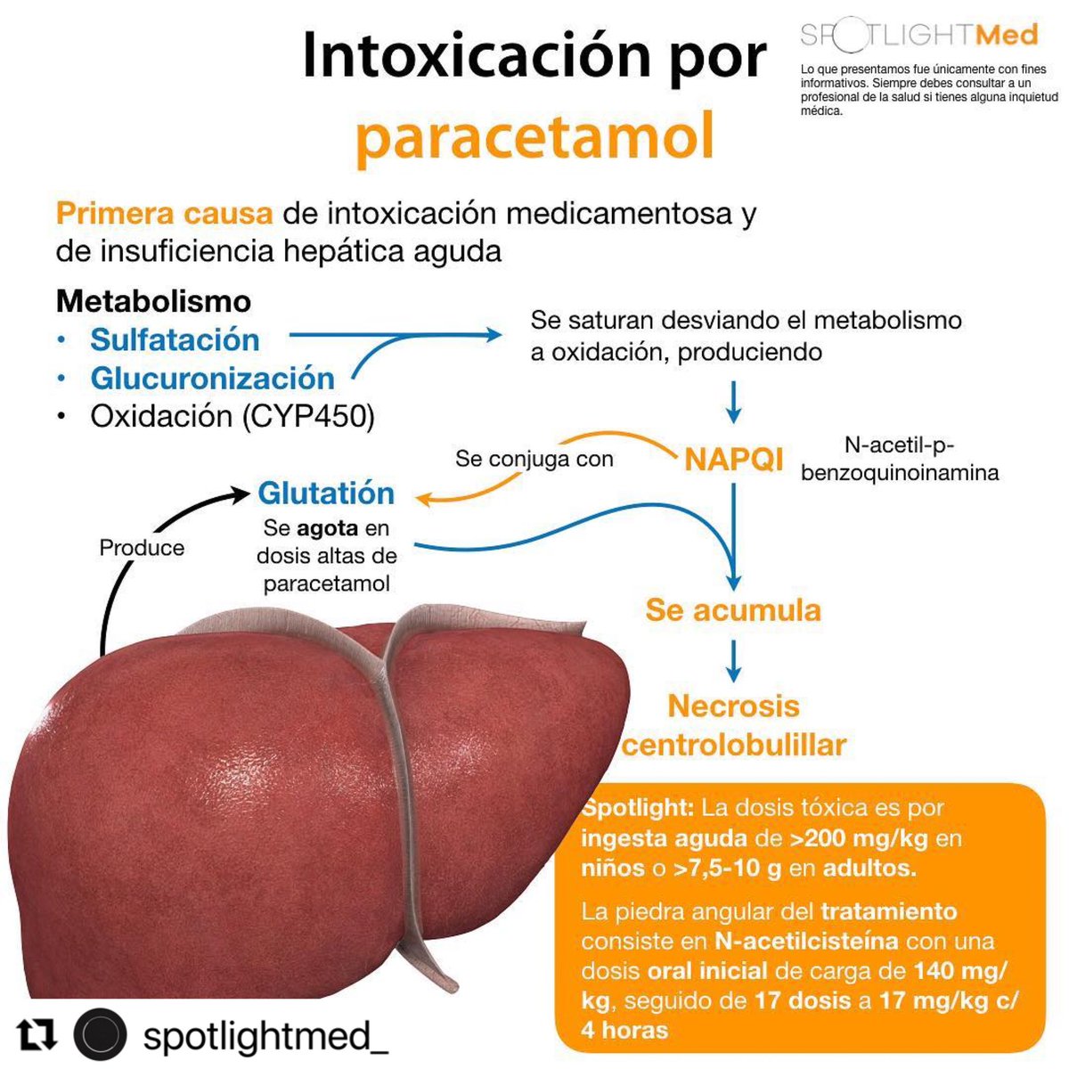 Intoxicación por paracetamol 💊
#SpotlightMed #Spotlightmedicine #3D4Medical #paracetamol #medschool #medlife #medstudent #toxicologia #toxicology #farmacología #pharmacology #enarm #enarm2023 #medstudentlife #mip #mpss