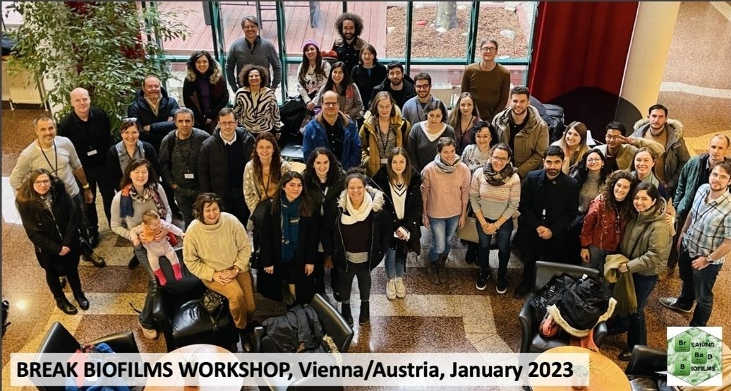 BREAKBIOFILMS_ITN tweet media