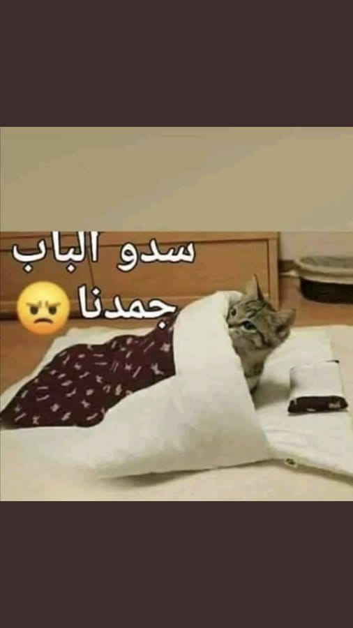 MAbohaedar's tweet photo. @reemb25_al دفي حالك
محد ناوي يدخل قلبك https://t.co/DDpVHdNpL3