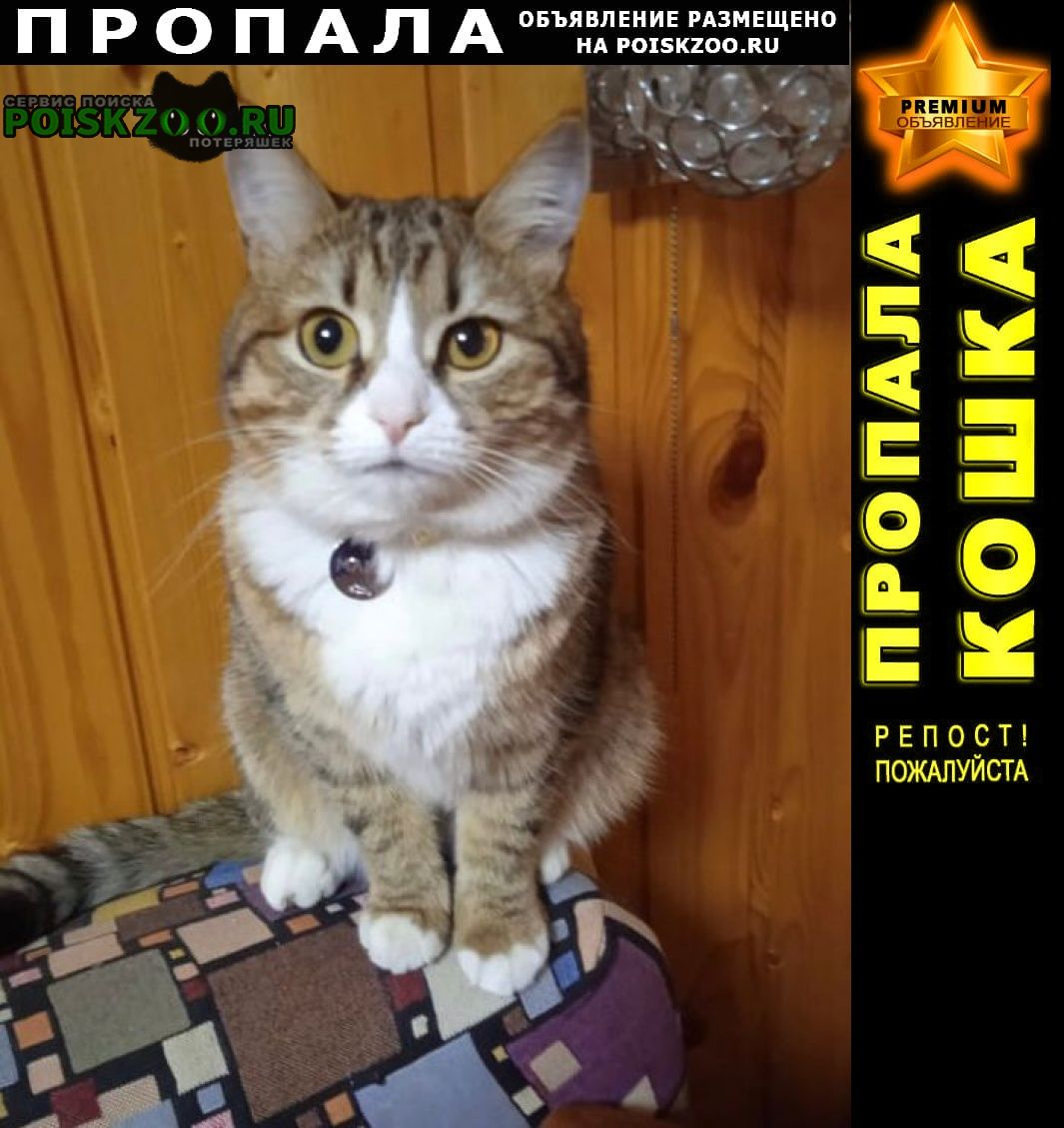 !!! ПРОПАЛА КОШКА ПОМОГИТЕ НАЙТИ ПОЖАЛУЙСТА ЩЕЛКОВО - PREMIUM-Объявление

Подробнее по ссылке: poiskzoo.ru/158583  Пропала любимая кошечка Маня Проживает с родителями в частном секторе: Московская область, Щелковский район, Медвежьи озера, ... Далеко от указанного адреса не