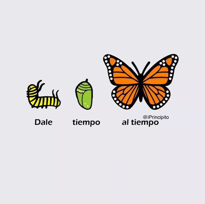 iPrincipito's tweet photo. Tendré que soportar dos o tres orugas si quiero conocer a las mariposas. https://t.co/dusWs7IrQl
