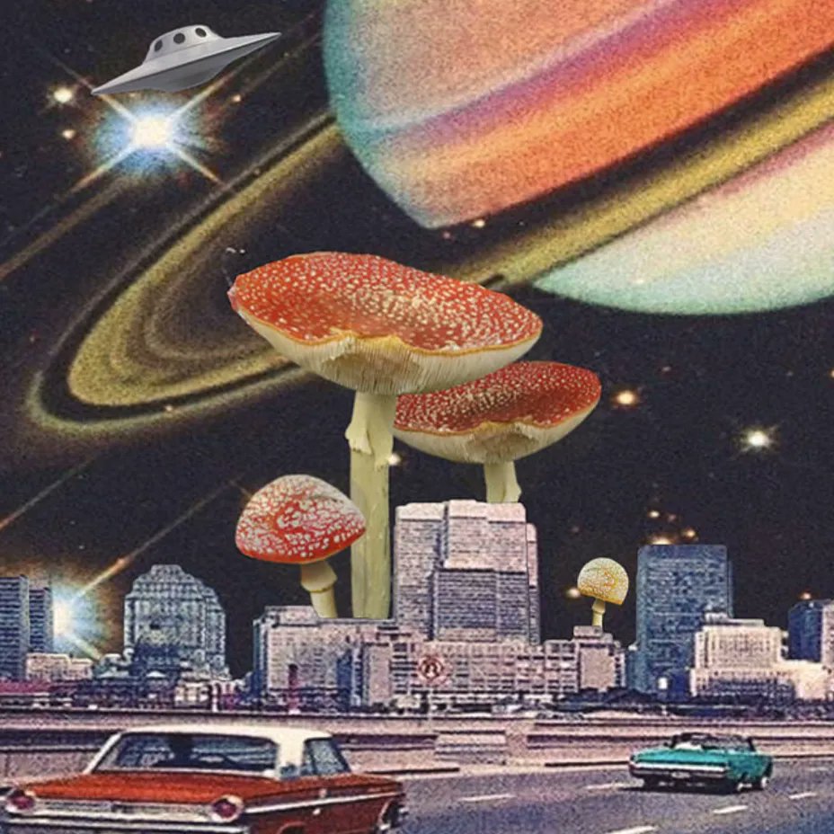 pixels.com/profiles/nicol…

Unique prints for sale 

#art #collector #sale #prints #collage