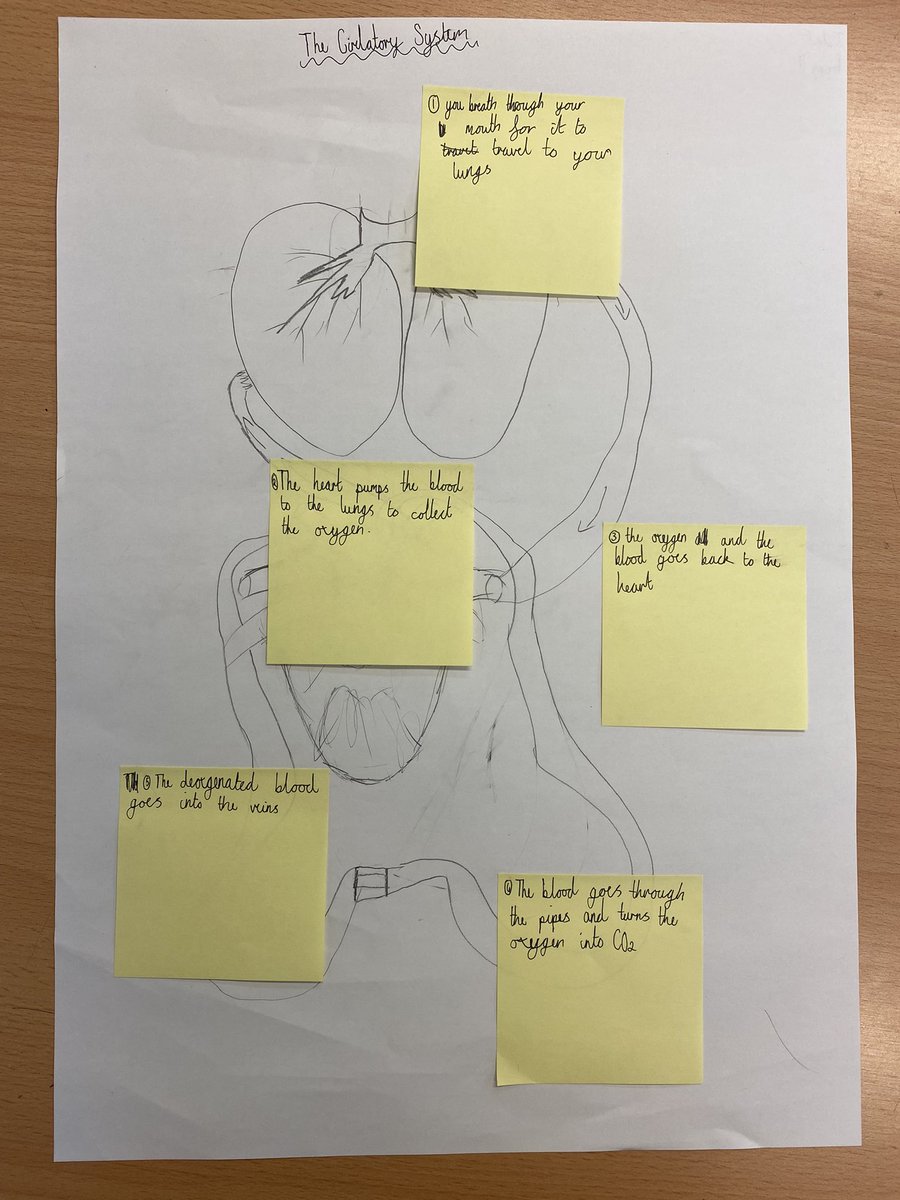 WellfieldMiddle's tweet photo. 6C worked hard with their partners today so recreate a diagram of the circulatory system; their scientific vocabulary was impressive! #WMSScience #WMSCommunication https://t.co/Tr1MIeskev