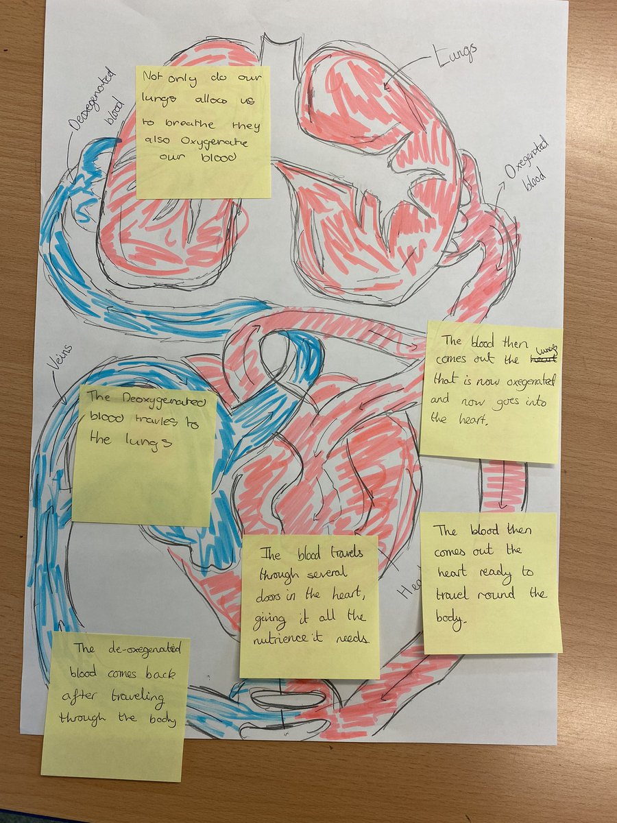 WellfieldMiddle's tweet photo. 6C worked hard with their partners today so recreate a diagram of the circulatory system; their scientific vocabulary was impressive! #WMSScience #WMSCommunication https://t.co/Tr1MIeskev