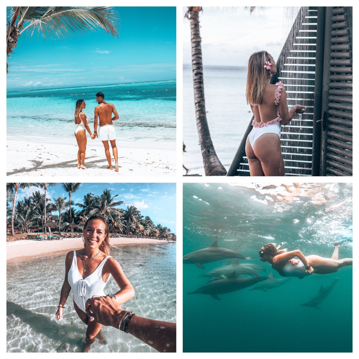 Sonia Colpo Scherer tweet media