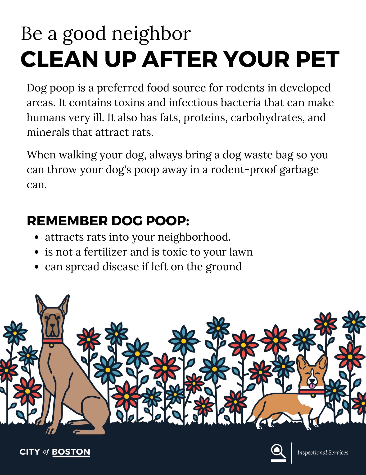 Can Dog Poop Attract Rats