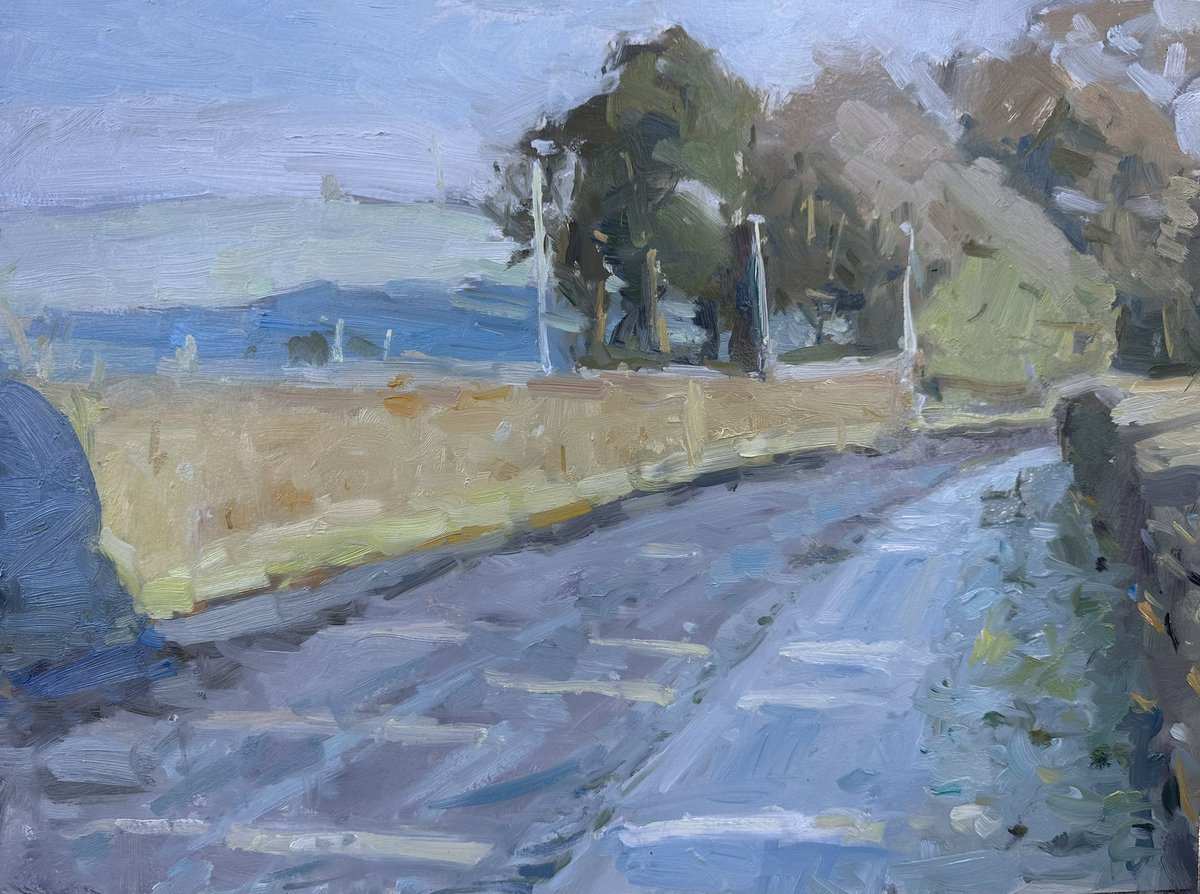 I wasn’t too sure about the shadow far left on the hedge, which appeared right at the end of the painting. I painted it in anyway 30x40cm
#oilpainting #landscape #allaprima #winterlight