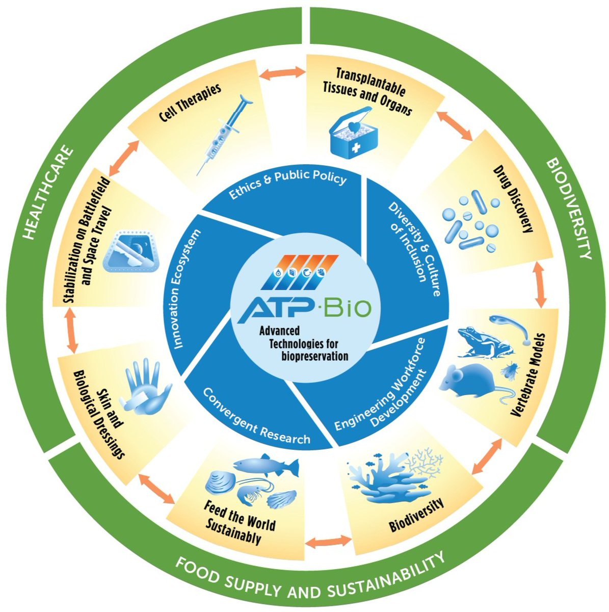 PanTHERA CryoSolutions is happy to be an industry partner with ATP-Bio Program. ATP-Bio supports the crucial advancement of biopreservation technologies and enables innovation, commercialization, and diverse workforce development. buff.ly/3Z7QYDM #partnerships #atpbio
