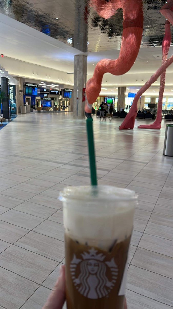 newspaper_man's tweet photo. .@FlyTPA hey y'all!  My wife had a little problem with Phoebe over the weekend...y'all might need to feed her more!  

"Stop it, Phoebe!!"

#coffee #Starbucks #Tampa #tampainternationalairport #TPA https://t.co/83KegRPtO5