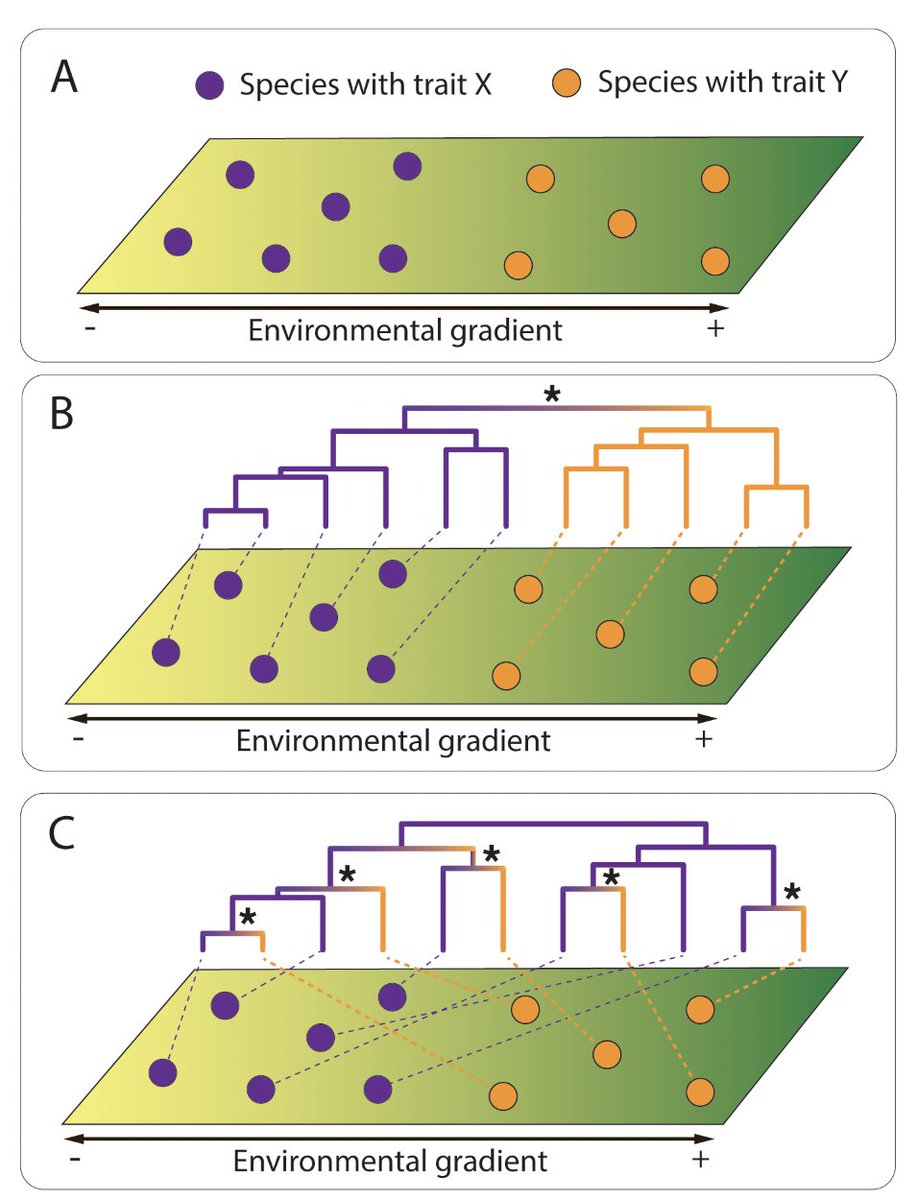 Botanical Society of America tweet media