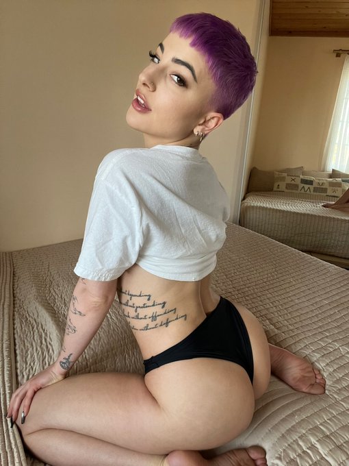 Can I sit in your lap? Or on your face? https://t.co/SLrgFEkYZ0