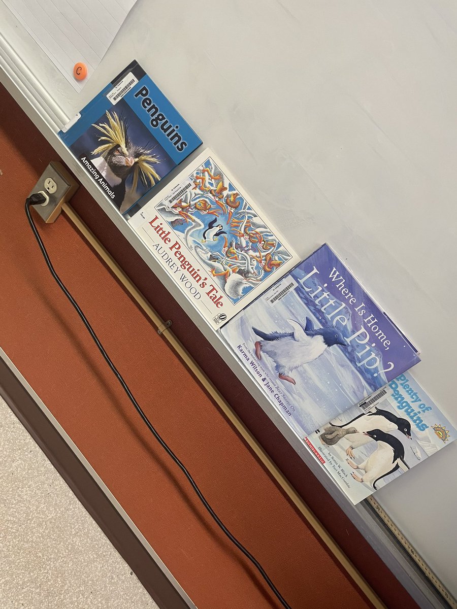 c_cicirelli's tweet photo. Penguin Research is underway 🐧
#Literacy https://t.co/tjj2C6DeDC