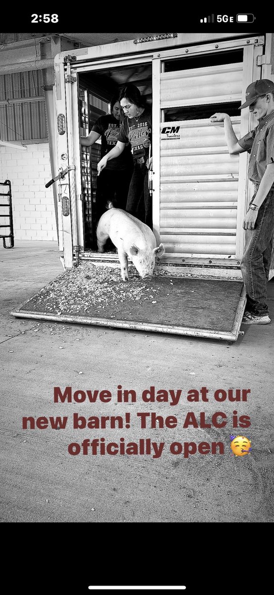 KellerISDFFA's tweet photo. ✨ The ALC is O P E N ✨ 

Our new Agriscience Learning Center is open and animals have been moved in as of last night! Students and animals were very excited to get in to see their new homes just in time for prepping for the FWSSR! 🥳 https://t.co/LYzRf2xW6u