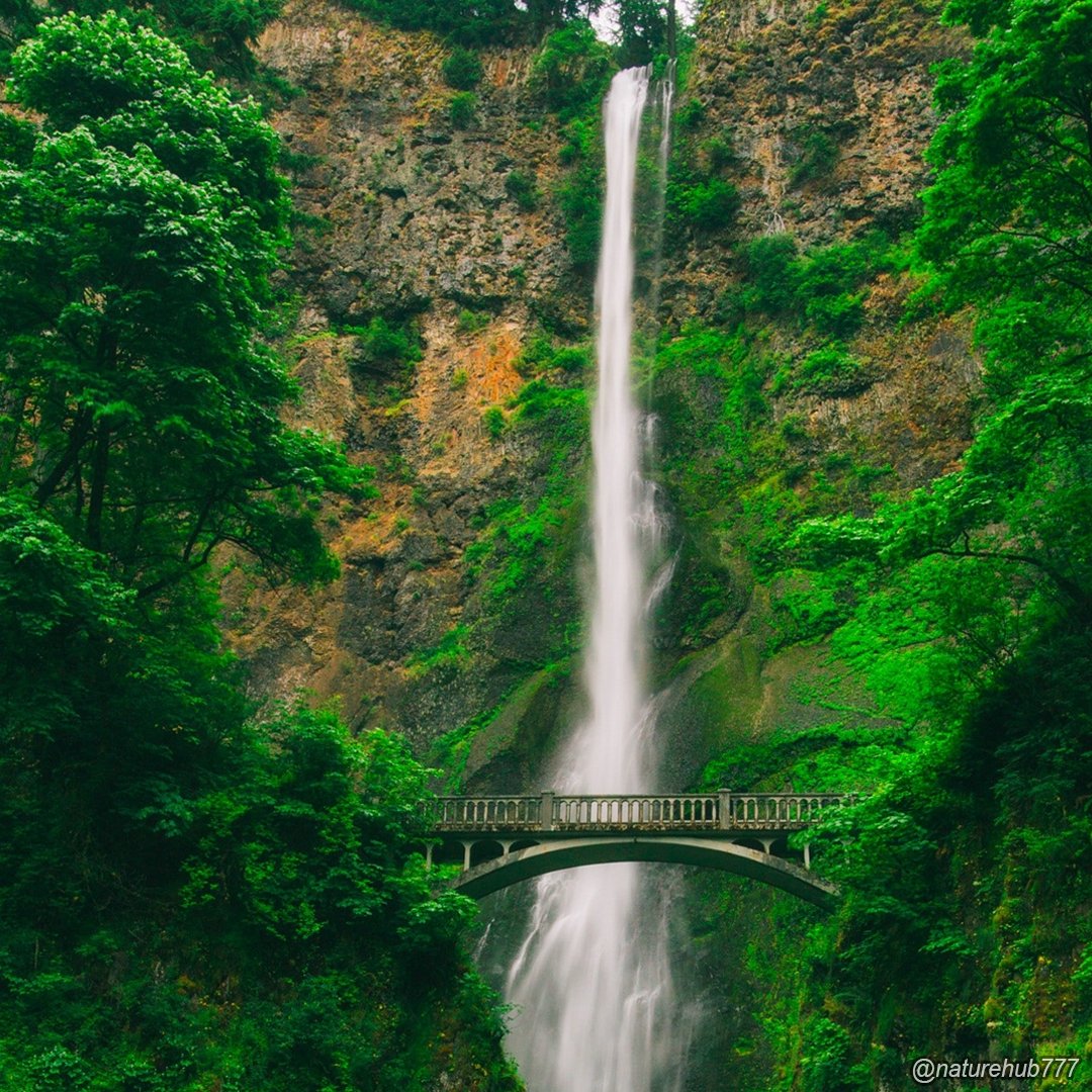 NatureHub777's tweet photo. Waterfall and Bridge - Şelale ve Köprü

#green #waterfall #bridge #yeşil #şelale #köprü #doğa #nature https://t.co/BKFexQ8b5A