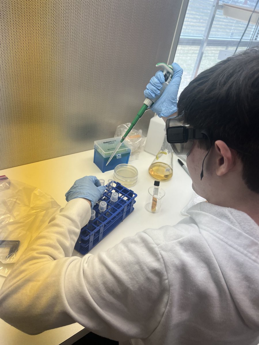 Verletta White, Ed.D. tweet media