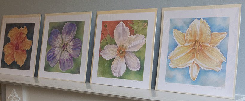 My retro style Flower drawing Prints make lovely #ValentinesDay gifts! etsy.com/uk/shop/Tabith… 
Signed, limited edition, I can personalise them as well. 

#womaninbizhour #CraftBizParty #geranium #daylily #anemone #hibiscus #chalkpastel #Flowers