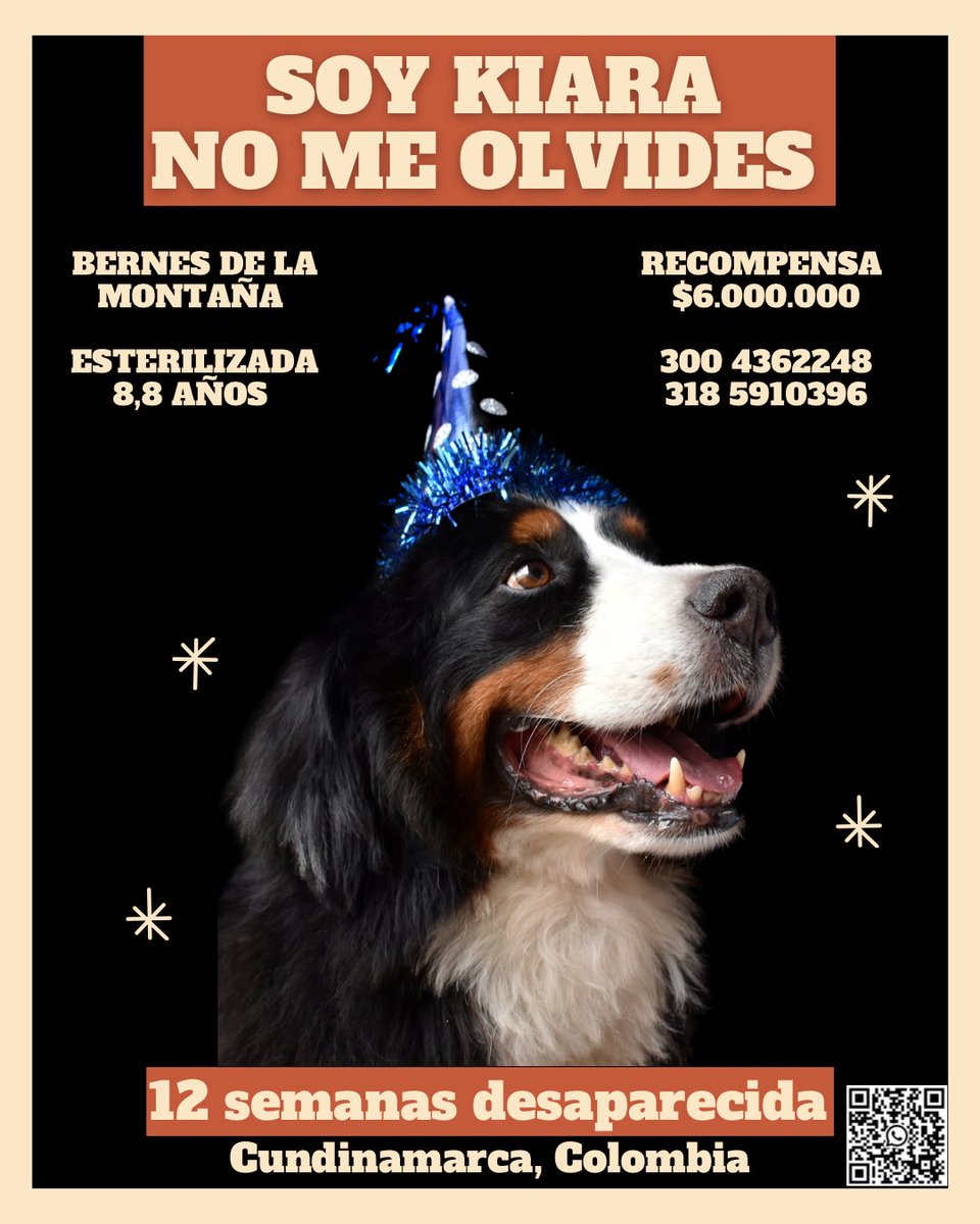 Ayuda un RT 🆘

12 Semanas sin Kiara, sin respuestas 💔

#Buscandoakiara #LeyKiara 

<a href="/andreanimalidad/">Andrea Padilla Villarraga 🪽🐾</a> <a href="/piedrahitangela/">Ángela Piedrahita 🐤</a> <a href="/Marce_Tabares/">Marce Tabares 🐶</a> <a href="/MONYRODRIGUEZOF/">MÓNICA RODRÍGUEZ 🐤</a> <a href="/DanielSamperO/">Daniel Samper Ospina</a> <a href="/AGaviriaH/">Alejandro Gaviria H</a> <a href="/jsanchezcristo/">Julio Sánchez Cristo</a>
