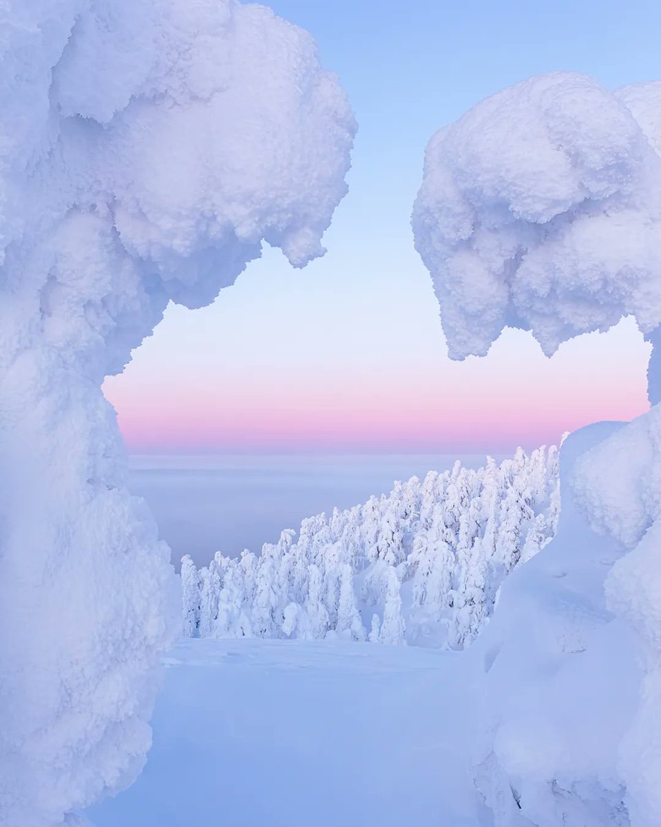 jukka_risikko's tweet image. Between the snowy giants