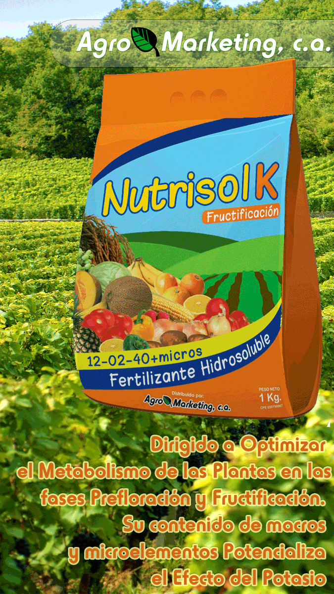 agromarketingc1's tweet photo. #NutrisolK

Producto dirigido a optimizar el metabolismo de las plantas en las fases prefloración y fructificación. 
Su contenido de macros y microelementos potencializa el efecto del #potasio en estas etapas. https://t.co/dHb1Z1vM6e