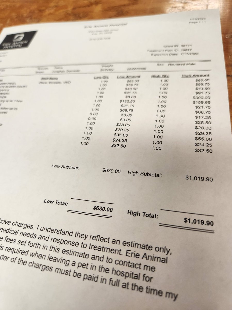 Vehliayn's tweet image. My kitty Loki has been having issues with his teeth, making him not eat as much from pain. Took him to the vet today and depending on how many teeth need removed it can be anywhere from 630$ to over 1000$. I'll be pushing out some YCHs soon, and as usual I'm open for sketches.