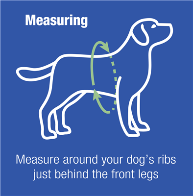 Bertera_Subaru's tweet photo. Uniquely designed in our signature Subaru blue, allow your dog to travel in style (and safety) thanks to our 2023 Forester Pet Harness!

Manufactured by Sleepypod® go the extra mile and buckle up your pup! 🐕 💙 #Dogs #Love #GoOutsideAndPlay https://t.co/yHNIQr18V2