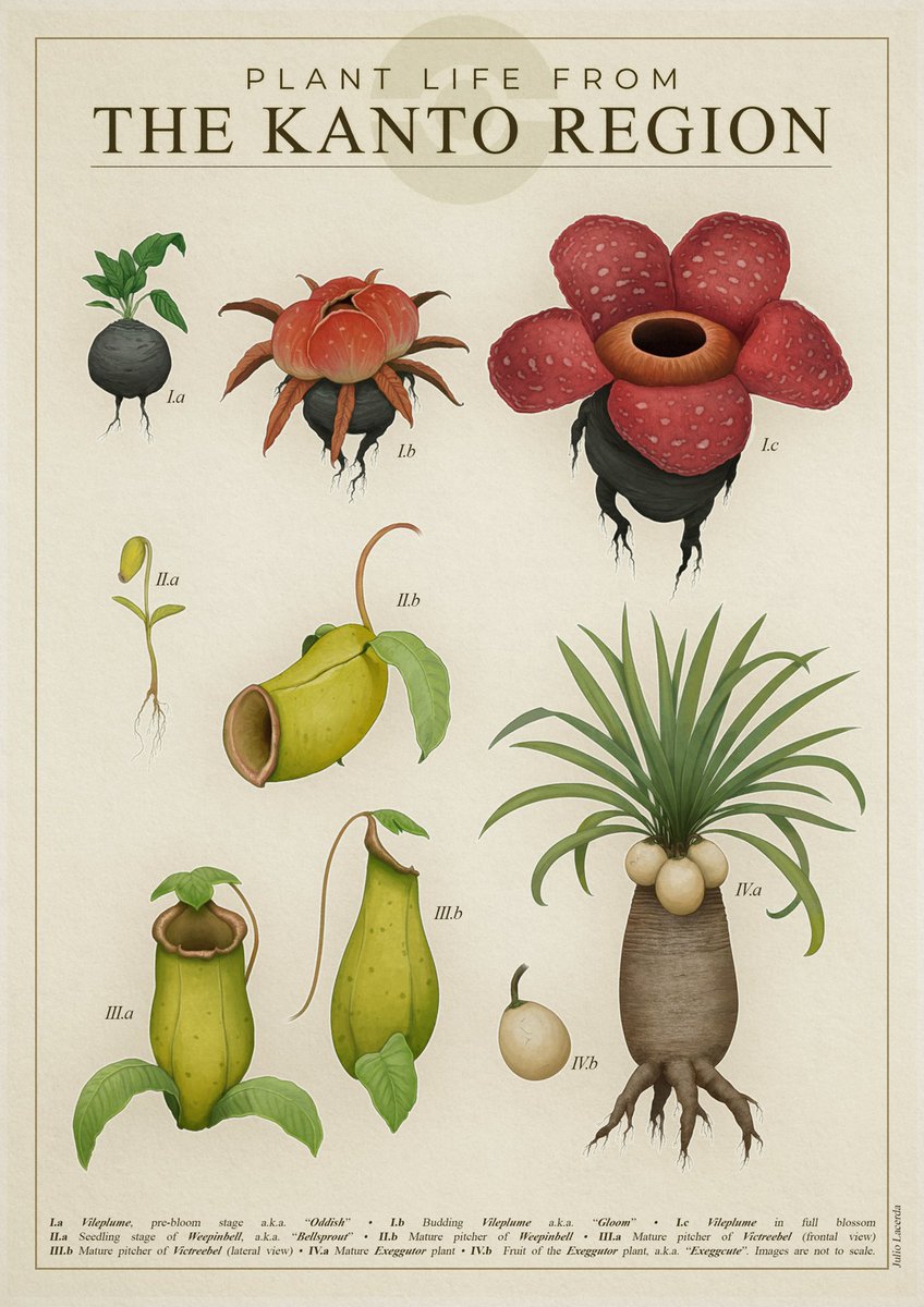 You enter a plant shop. What do you leave with?