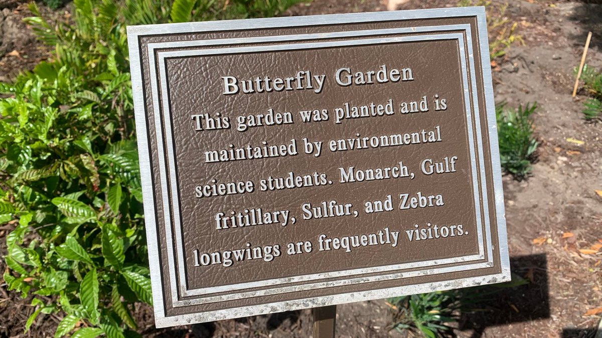 FLWaterways's tweet photo. Props to #BrowardCollege for being a leader in the journey to a more sustainable society! 👏 We had a great time revitalizing gardens on North Campus in #CoconutCreek last fall. We'll be back this Saturday 1/21 to lay mulch, plant more wildflowers &amp; maybe even a cactus! 🌵 https://t.co/j9oLNs2iuo