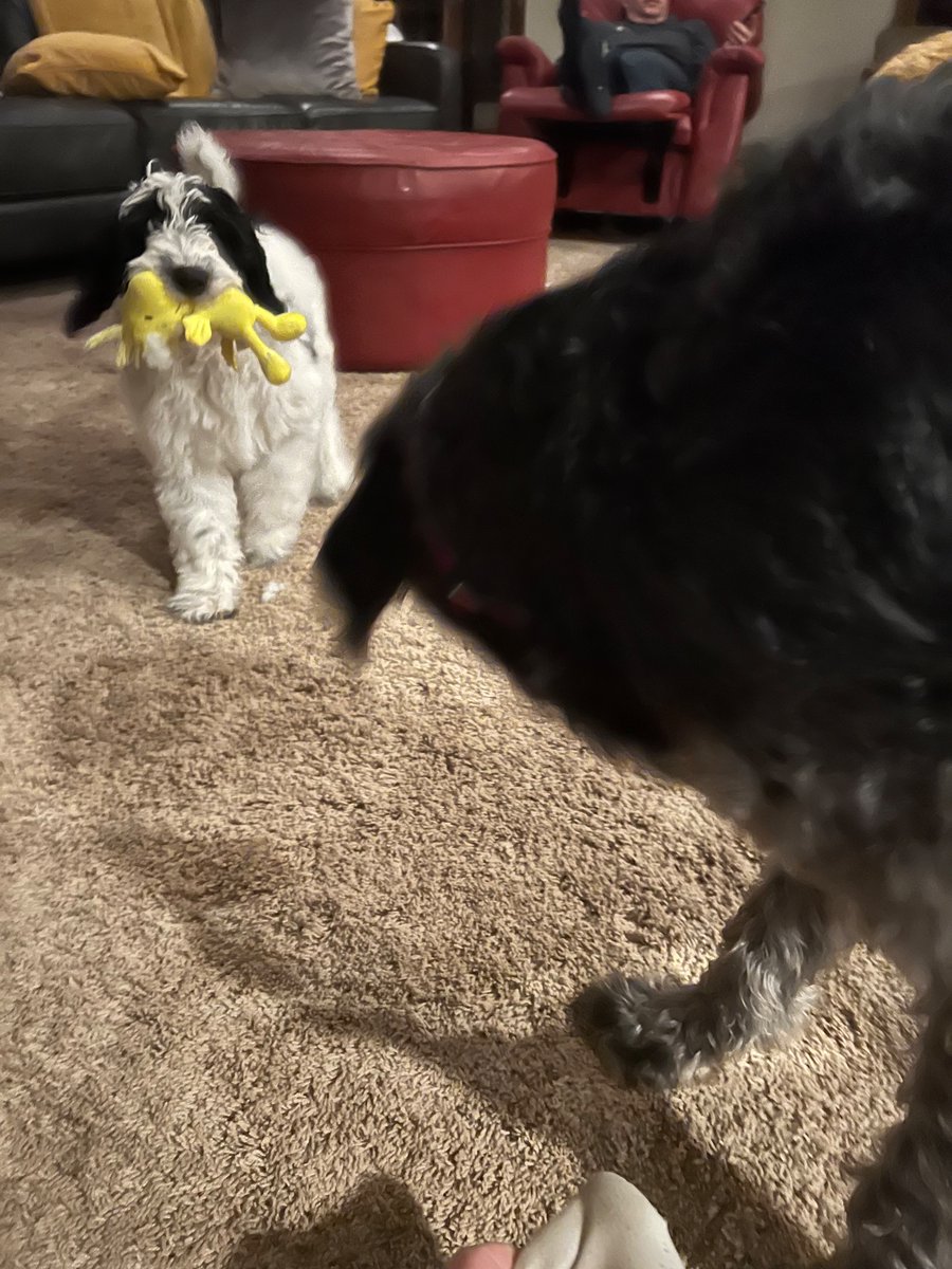 NatalieNovak18's tweet photo. best friends who destroy their bff toys together, stay together https://t.co/gKLi45MjDl