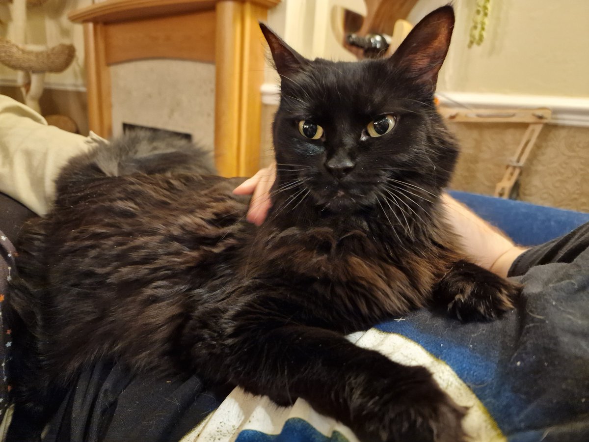 Holly Brockwell tweet media