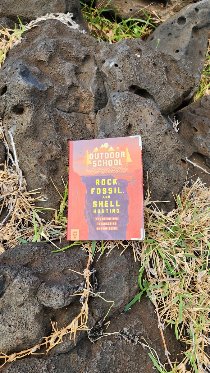 The best place to learn is outdoors! Look around. Have you spotted any cool rocks lately? Check out this #lava #rock in #Maui Get outside and #rewildyourlife! #outdoorschool  @odddotbooks @MacKidsBooks @SteamTeamBooks @trueIn2022 #stem #sciencerocks