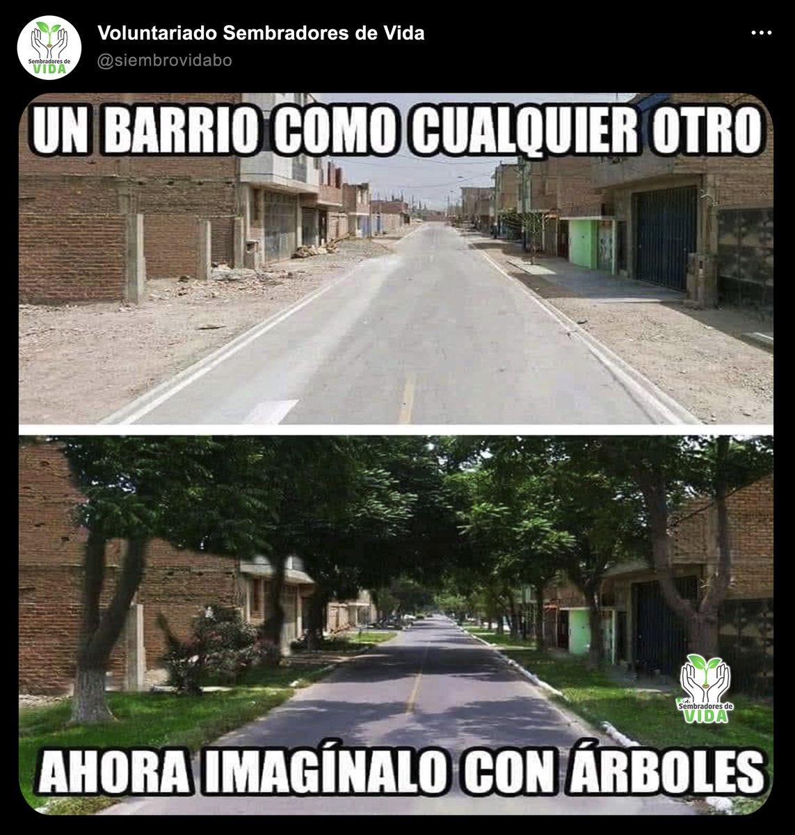 '¿Te imaginas caminar por un barrio lleno de árboles y verde? No solo sería más hermoso, sino también más saludable para la comunidad. 😰 ¿Conoces alguna zona o barrio que no tenga ni un solo arbolito?