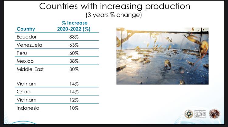 Ecuador the star of South and Central America’s rise to global shrimp market prominence >> ow.ly/QPIC50Mumui #Seafood #SeafoodSource