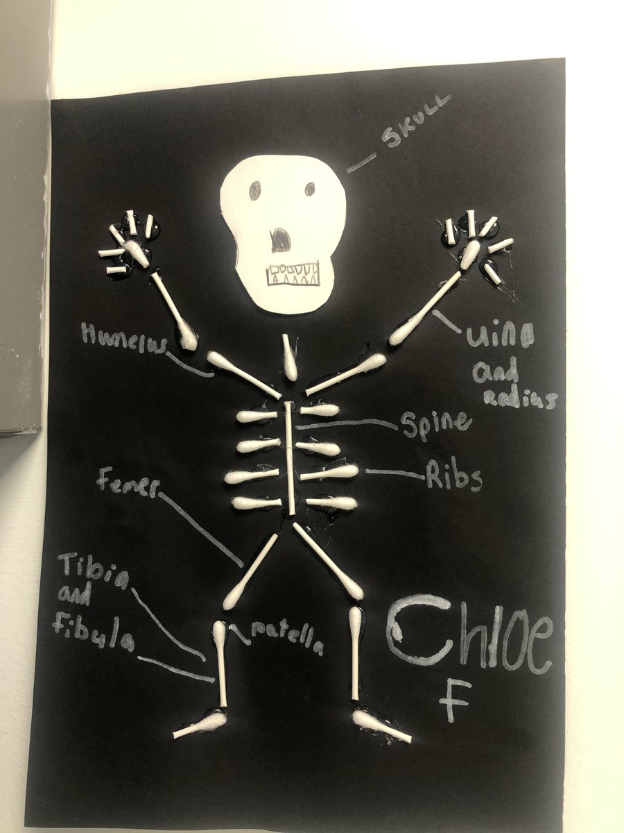 RectoryFarmPri's tweet image. More outstanding home learning from Year 3 term 2. They were learning about skeletons and muscles. These are so creative!