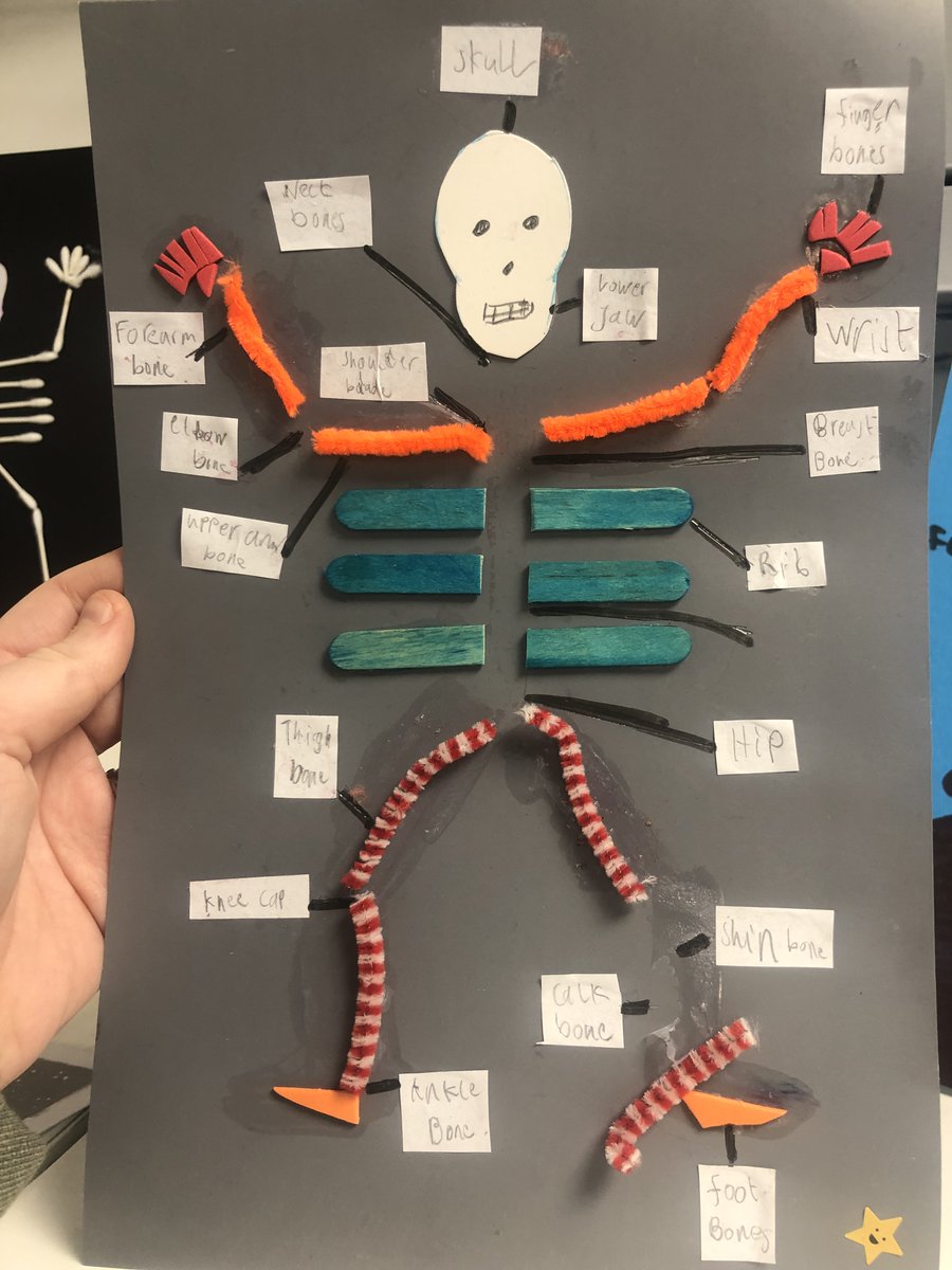 RectoryFarmPri's tweet image. More outstanding home learning from Year 3 term 2. They were learning about skeletons and muscles. These are so creative!