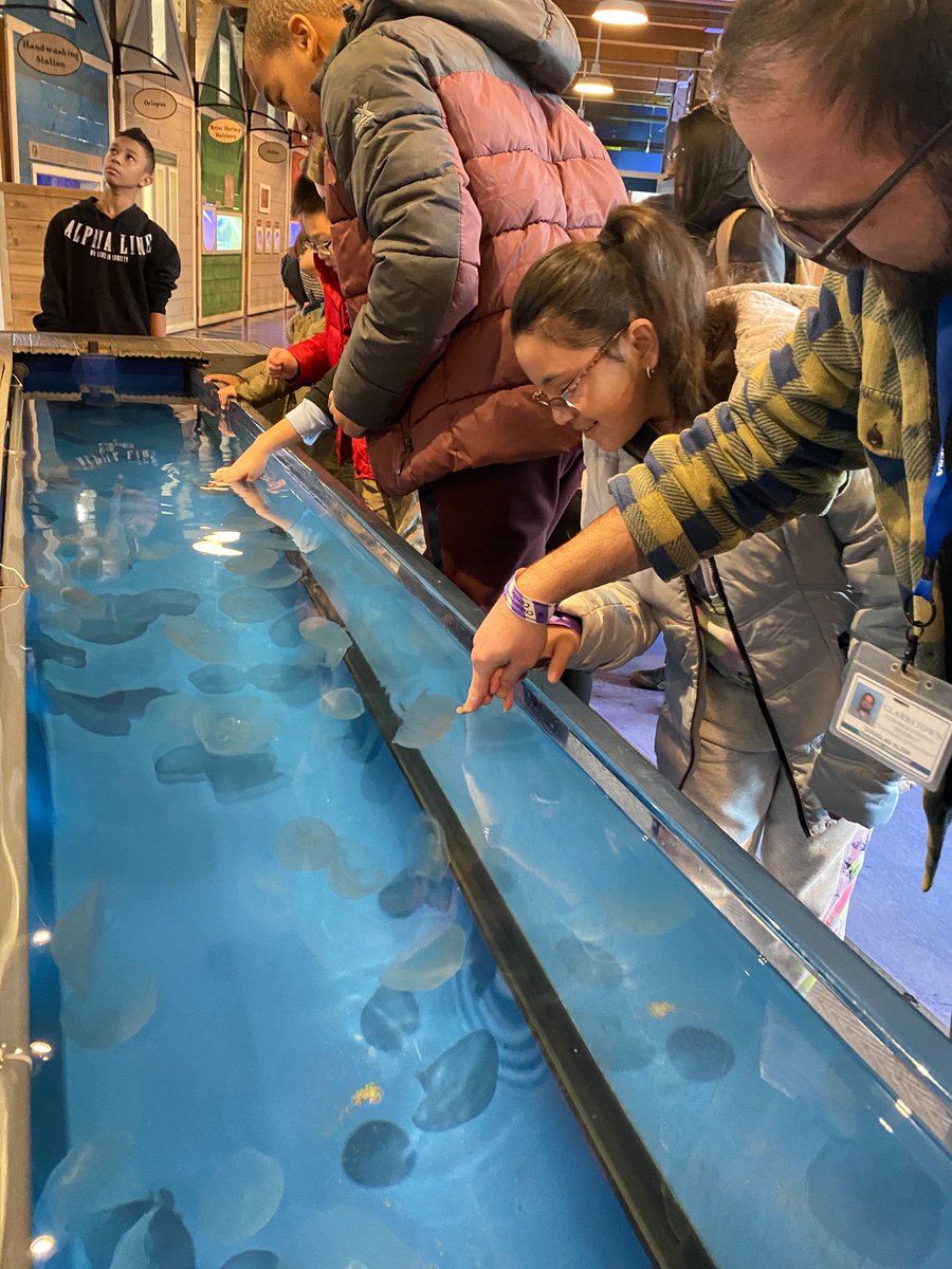ccsdschools's tweet image. Some Fest astudents had a BLAST getting some #CommunityBasedLearning today at the Norwalk Aquarium! You can see the wonder in the students’ eyes as they learned about our planet’s huge underwater world and the animals that inhabit it! #ClarkstownCSD #STEM