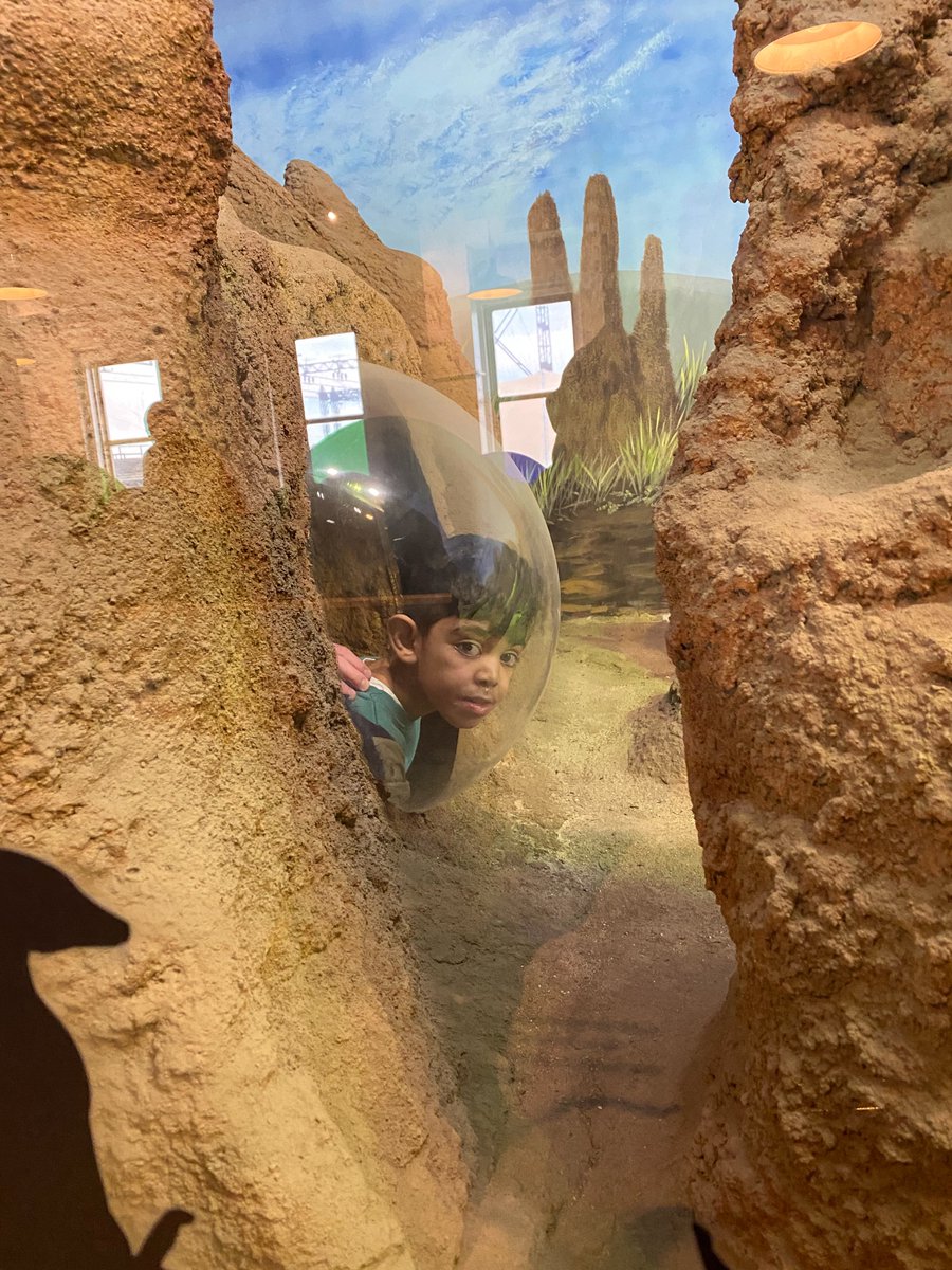 ccsdschools's tweet image. Some Fest astudents had a BLAST getting some #CommunityBasedLearning today at the Norwalk Aquarium! You can see the wonder in the students’ eyes as they learned about our planet’s huge underwater world and the animals that inhabit it! #ClarkstownCSD #STEM