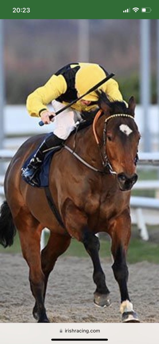 keithclarke2014's tweet photo. Great to get a winner this evening in โฆ@DundalkStadiumโฉ with this great little horse . Thanks to โฆ@crowneplazaddlkโฉ for sponsoring the race #kuwaitdirection #gavinryan https://t.co/Q5l424X2XG