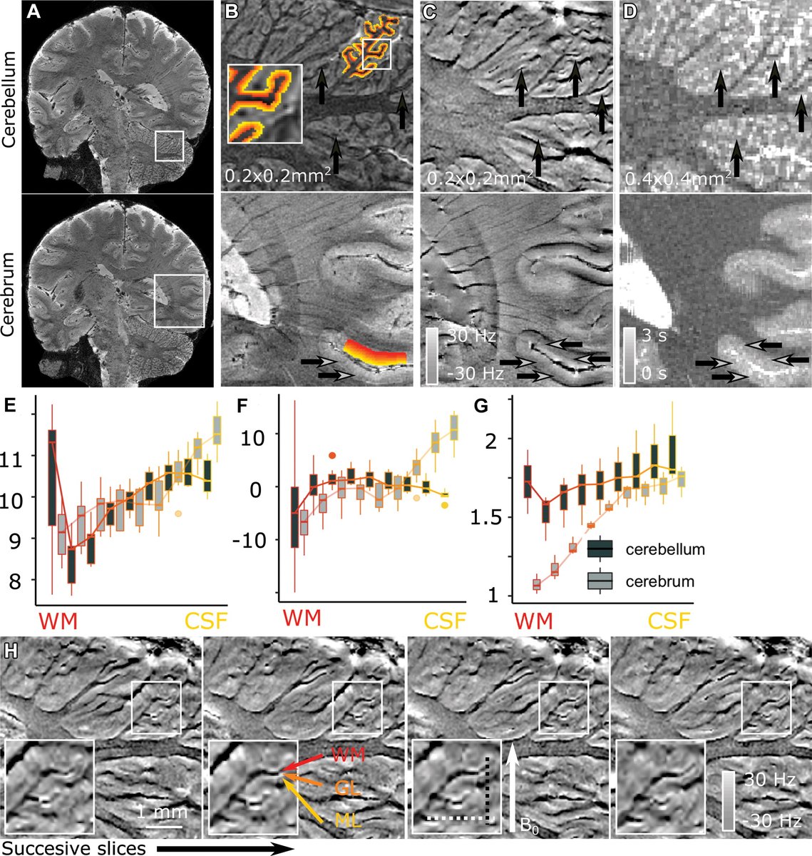 Radiology tweet media