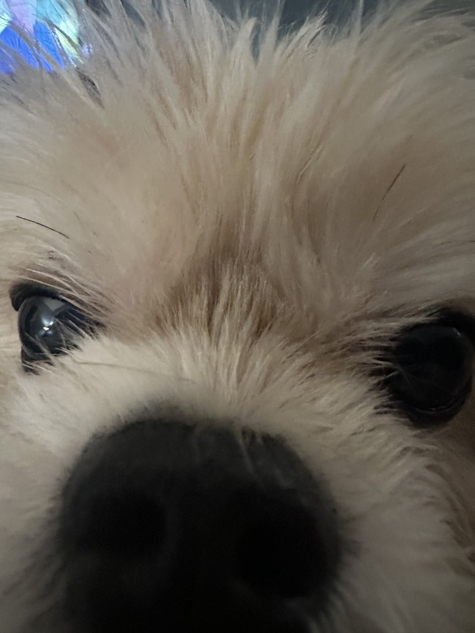 Brandon LeBlanc on Twitter "JenMsft Kilo. https//t.co/xyXXcft87S