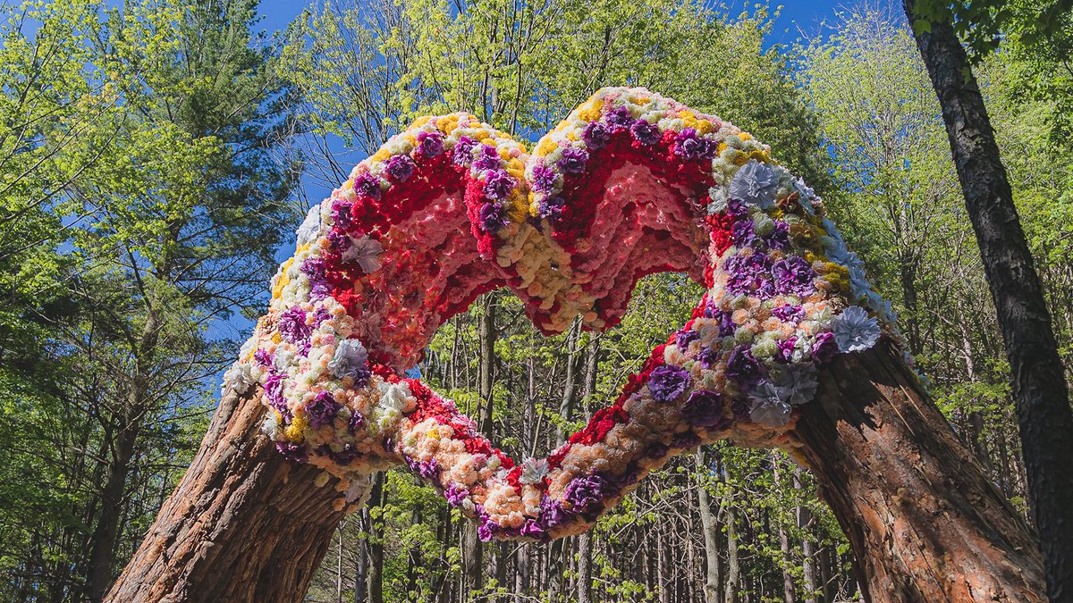 Electric_Forest's tweet photo. Happy Wallpaper Wednesday, Forest Family!
Feature The Forest on a desktop, laptop or mobile device.
This set of wallpapers and desktop backgrounds are from @AdamSmithPhotos, a participant in the #EF2022 Plug In UnMEDIAted Creator Incubator. #ElectricForest #PlugInToEF https://t.co/31gENd4H4G
