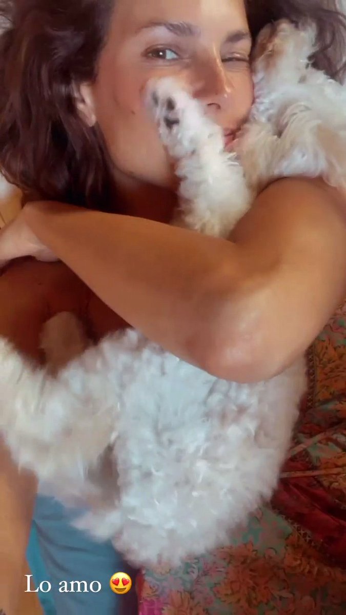 mfs_biddy's tweet image. And they love you back. Thank God for dogs ❤️

#chinu #puffo #puffinu