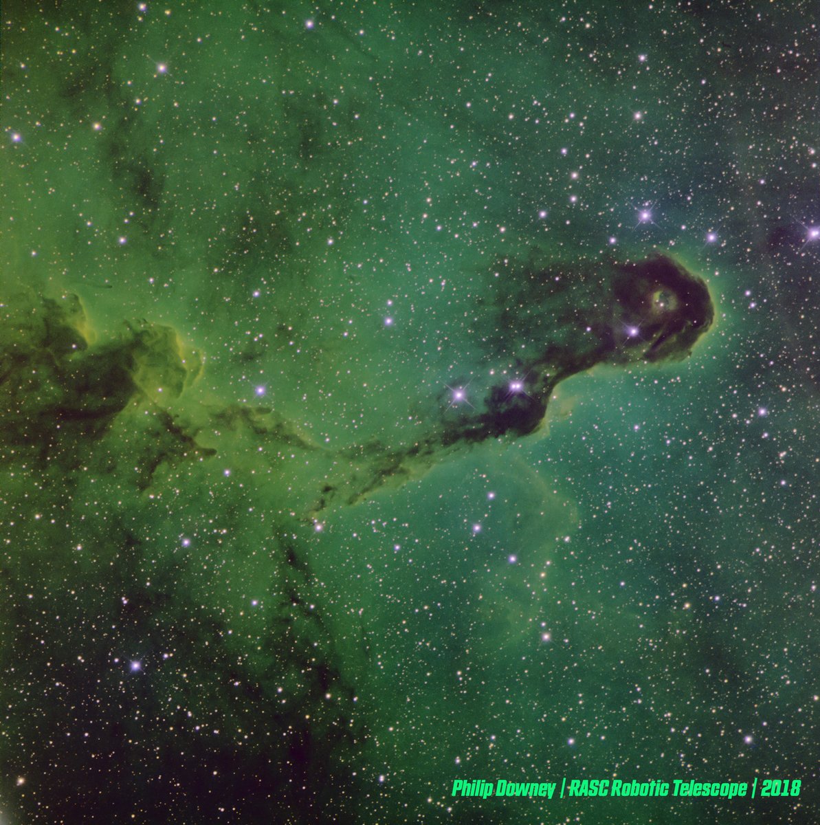 Philip Downey used data from the RASC’s Robotic Telescope in California to create this very detailed image of the Elephant Trunk nebula. The ‘trunk’ is a complicated knot in the large nebula known as IC 1396. Stars are likely forming inside these clouds of gas and dust.