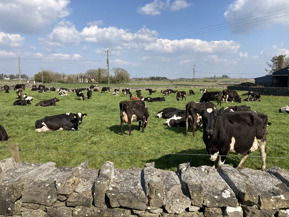 Looking for a 2iC/farm manager from Feb-April as I am on Nuffield travel for part. Had someone but fell through unfortunately. 
110cows, spring calving, grass based, modern facilities in South Mayo. 5 day week with competitive salary. DM for more details.