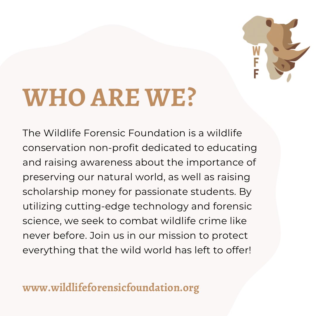#wildlifeforensicfoundation #wildlifeconservation #nature #africa #babyanimals #animals #beauty #instagood #animalconservation
#natureprotection
#environmentalawareness
#sustainability
#naturelovers
#wildlifeeducation
#biodiversity
#naturephotography
#conservationphotography