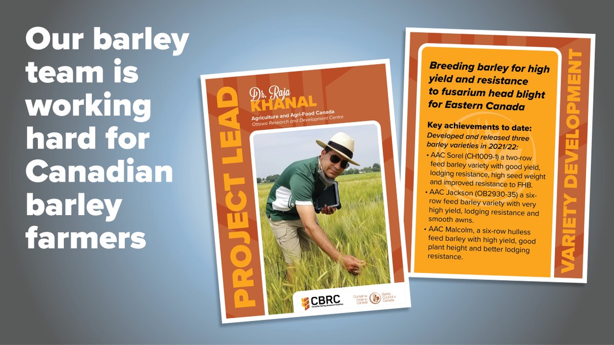#BarleyCluster #BarleyResearch #FundedByFarmers #CdnAg <a href="/RajaBarley/">Raja Khanal</a>