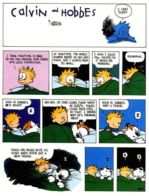Calvin And Hobbes Mom Porn Comic - WholesomeMemes on Twitter: \