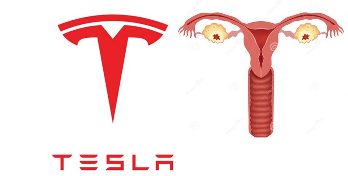 Anyone else notice that the Tesla symbol looks like the female reproductive tract?
